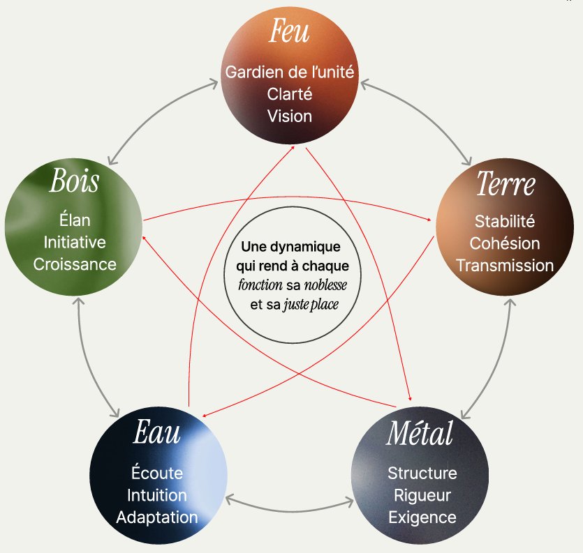 Cycle des 5 Agir chinois